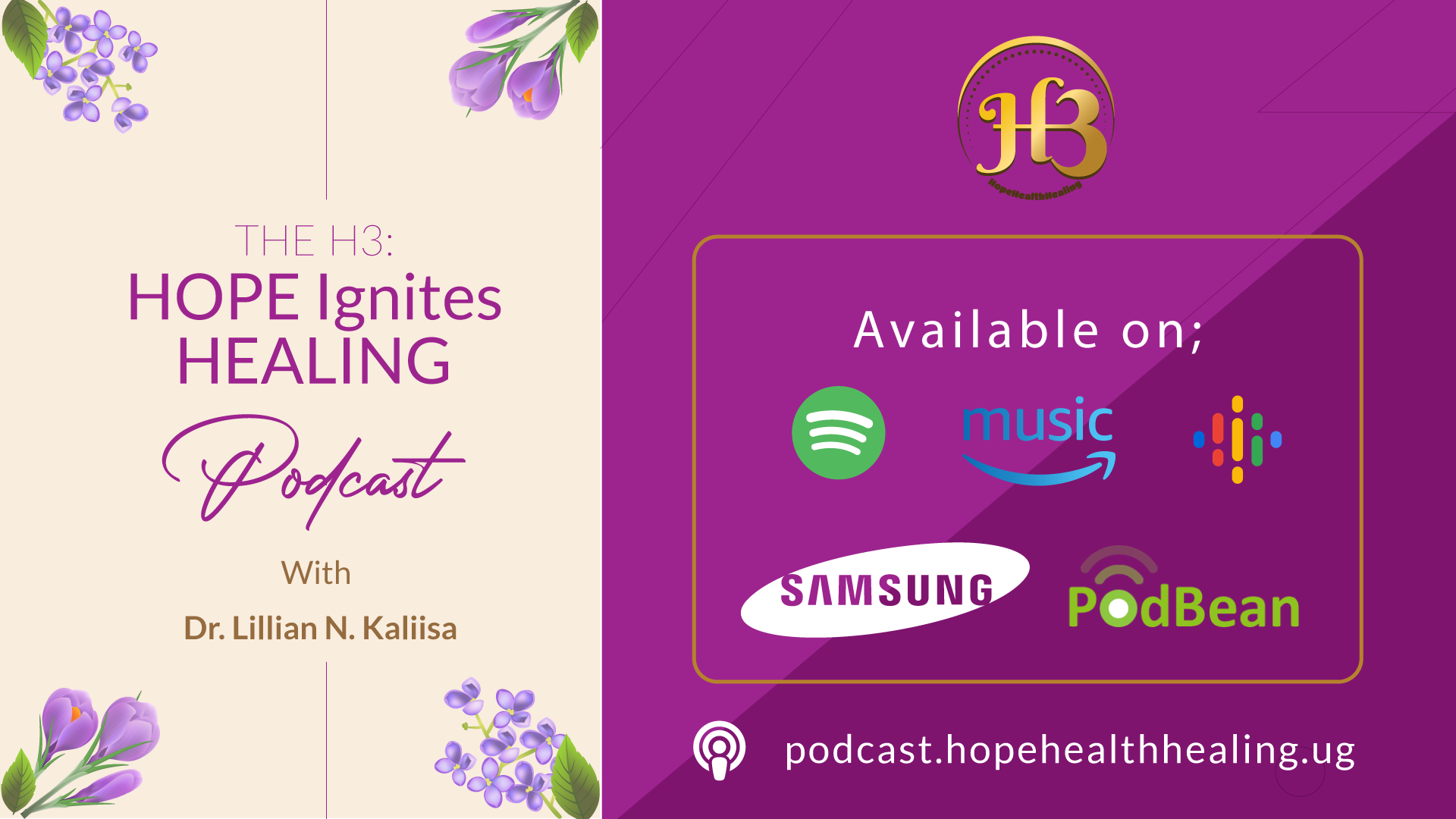 The H3: Hope Ignites Healing Podcast